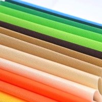 Color Breathable PP Spunbond Non-Woven Fabric